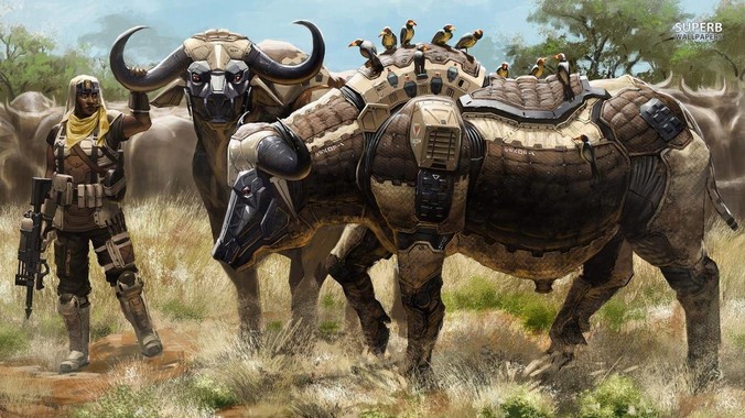 张伟丽可以打败什么级别的普通男性？